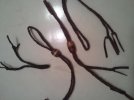 2011-01-29 21.31.42.jpg