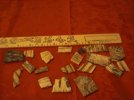 CIMG2005.jpg
