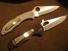 Delica & Traveler.jpg