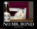 no-mr-bond-evil-bunny-demotivational-posters-1297104882.jpg