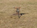 pasture party 032.jpg