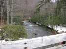 IMG_0229.jpg