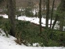 IMG_0233.jpg