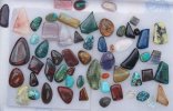 100_3719.jpg