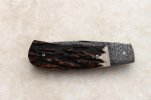 Feather_stag_slipjointA_closedright_web.jpg