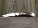 SaddlehornLarge1.JPG