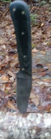 0216201706a-2.jpg