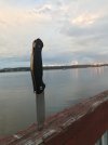 IMG_1198.JPG