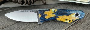 Starry Night Snowbill.jpg