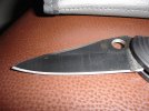 DSC00150.jpg