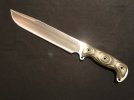 Busse ASHBMS LE 3.jpg