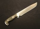 Busse ASHBMS LE 2.jpg Busse ASHBMS LE 2.jpg