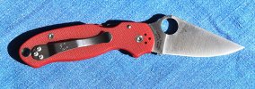 para 3 open clip side.jpg