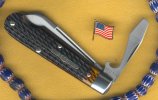 Scout 1AA.jpg
