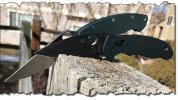 EDC_022320_Torn.jpg