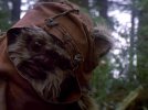 ewok1-700x525.jpg