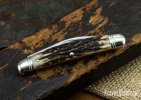 gec-62-stag-b-28__14987.1582643733.jpg