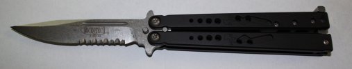 IMG_5126.JPGed.JPG