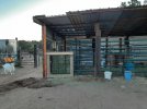 Barn4.jpg