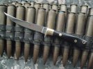 Recon 1 BF Al Mar fb fillet 003x.jpg