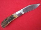 Lanny's Clip in Stag   (S-30-V) 026.jpg