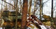 iPhone pics 020.jpg