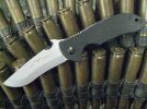 Recon 1 BF ZT-Emerson 010xxx.jpg