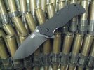 Recon 1 BF ZT-Emerson xxx.jpg