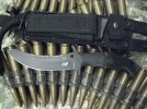 Recon 1 BF TOPS SPY MICRO 009XXX.jpg