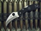 Recon 1 BF Spyderco's 009XXXX.jpg