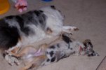 100_0050.jpg