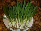 ramps4.jpg