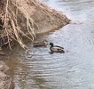 IMG_7354.JPG