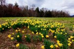 DSC03944eed.jpg