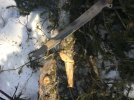 5B6EDE8C-F3A4-4E09-A8AC-4611D36586D6.jpeg