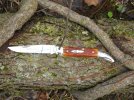 GEC12Bone-2.JPG