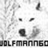wolfmann601