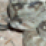 atrox