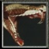 The Snake