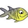 scfisher