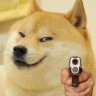 dissipator16