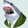 MrShark729