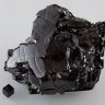 carbonex