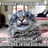 DangCat