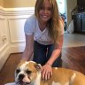 VictorianBulldog73