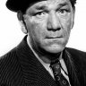 Shemp41