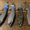 magnolia_state_edc