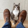 Havebootswilltravel