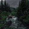 elmshaven7