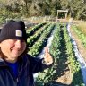 Homesteadlife